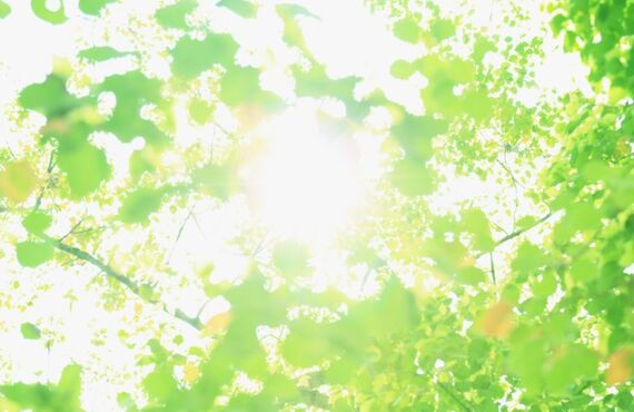 嘉麻市のアンテルで形状記憶トリートメントカールでモテ髪、若返りの再現性♪